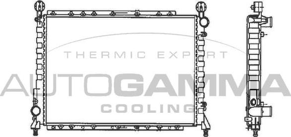 Autogamma 100012 - Радиатор, охлаждение двигателя autospares.lv