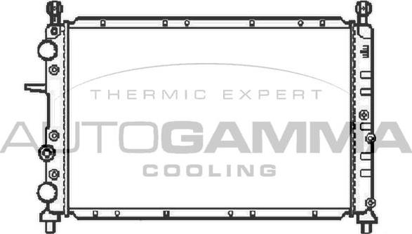 Autogamma 100017 - Радиатор, охлаждение двигателя autospares.lv