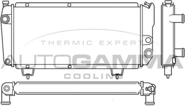 Autogamma 100193 - Радиатор, охлаждение двигателя autospares.lv