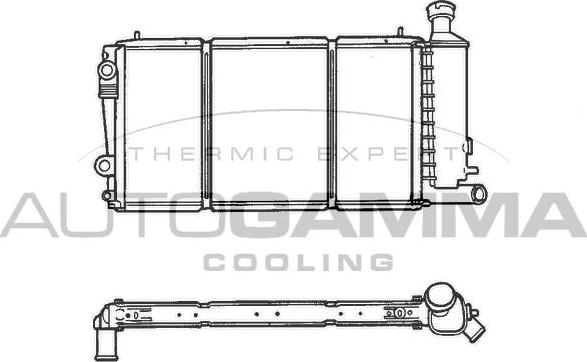 Autogamma 100169 - Радиатор, охлаждение двигателя autospares.lv