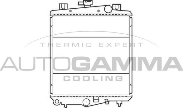 Autogamma 100139 - Радиатор, охлаждение двигателя autospares.lv