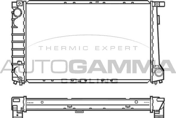 Autogamma 100128 - Радиатор, охлаждение двигателя autospares.lv