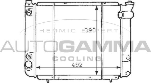 Autogamma 100804 - Радиатор, охлаждение двигателя autospares.lv