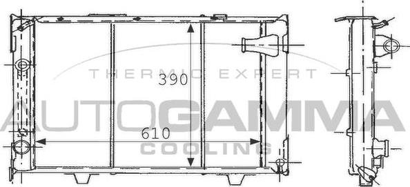 Autogamma 100807 - Радиатор, охлаждение двигателя autospares.lv