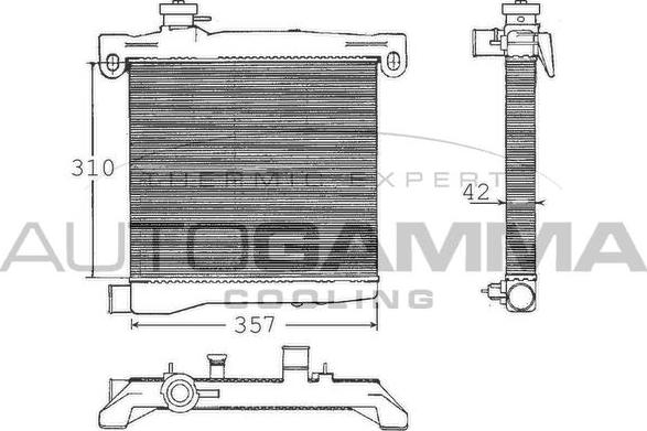 Autogamma 100247 - Радиатор, охлаждение двигателя autospares.lv