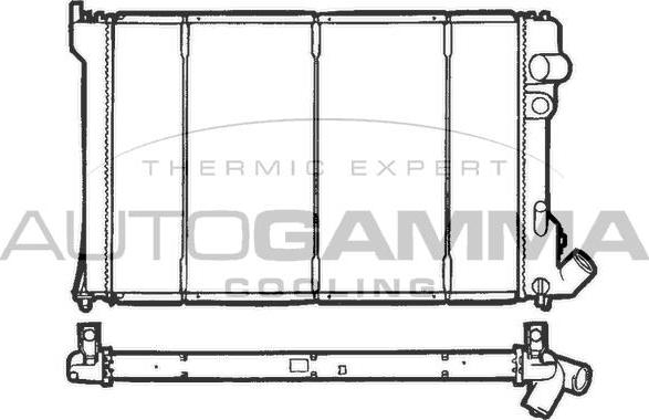 Autogamma 100211 - Радиатор, охлаждение двигателя autospares.lv