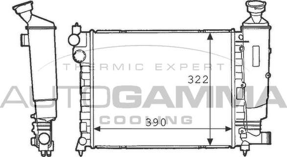 Autogamma 100733 - Радиатор, охлаждение двигателя autospares.lv