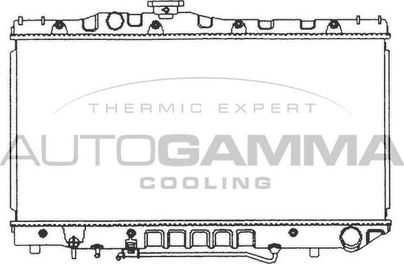 Autogamma 101006 - Радиатор, охлаждение двигателя autospares.lv