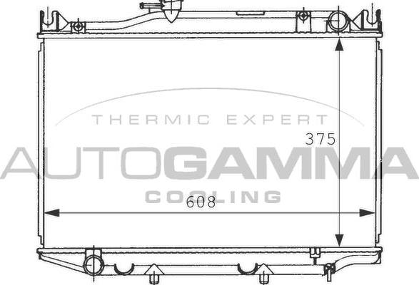 Autogamma 101007 - Радиатор, охлаждение двигателя autospares.lv