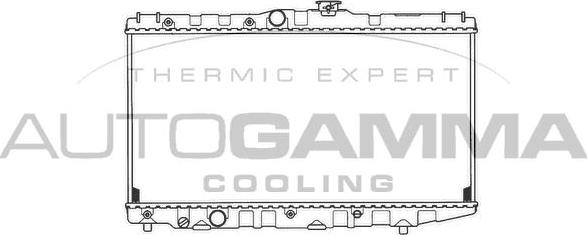 Autogamma 101014 - Радиатор, охлаждение двигателя autospares.lv