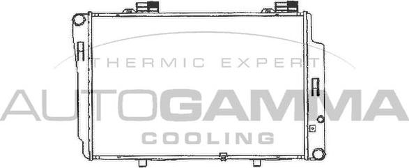 Autogamma 101321 - Радиатор, охлаждение двигателя autospares.lv