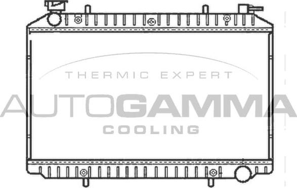 Autogamma 101222 - Радиатор, охлаждение двигателя autospares.lv