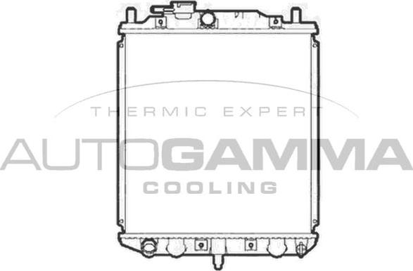 Autogamma 103909 - Радиатор, охлаждение двигателя autospares.lv