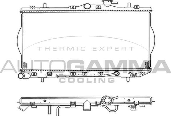 Autogamma 103938 - Радиатор, охлаждение двигателя autospares.lv