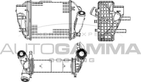 Autogamma 103598 - Интеркулер, теплообменник турбины autospares.lv