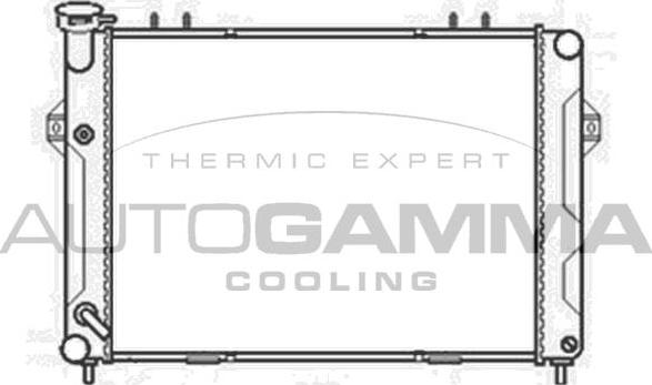 Autogamma 103665 - Радиатор, охлаждение двигателя autospares.lv