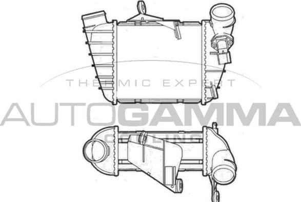 Autogamma 103637 - Интеркулер, теплообменник турбины autospares.lv