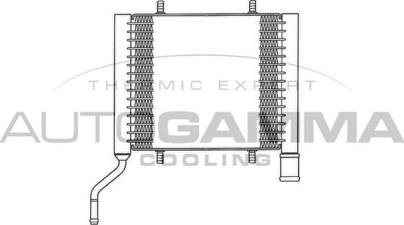 Autogamma 103168 - Масляный радиатор, двигательное масло autospares.lv