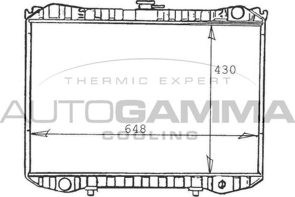 Autogamma 103257 - Радиатор, охлаждение двигателя autospares.lv