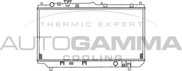 Autogamma 103264 - Радиатор, охлаждение двигателя autospares.lv