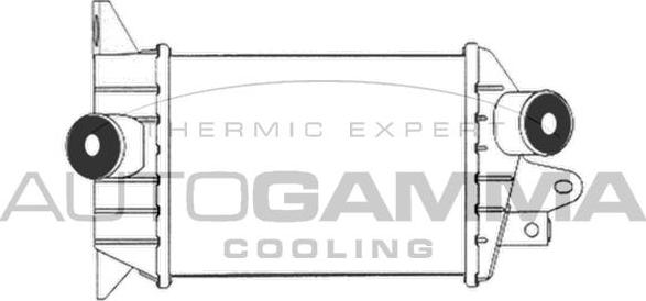 Autogamma 102404 - Интеркулер, теплообменник турбины autospares.lv