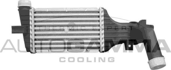Autogamma 102553 - Интеркулер, теплообменник турбины autospares.lv