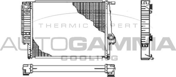 Autogamma 102036 - Радиатор, охлаждение двигателя autospares.lv