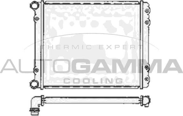 Autogamma 102895 - Радиатор, охлаждение двигателя autospares.lv
