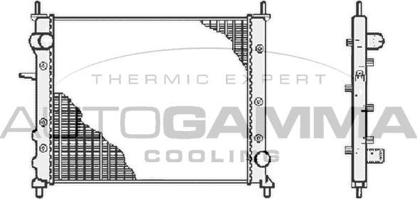 Autogamma 102866 - Радиатор, охлаждение двигателя autospares.lv