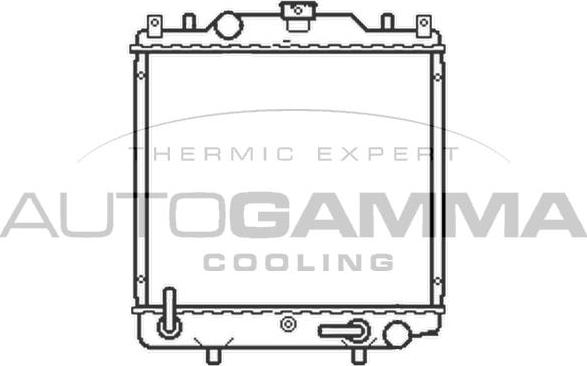 Autogamma 102319 - Радиатор, охлаждение двигателя autospares.lv