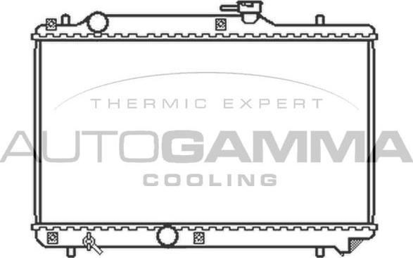 Autogamma 102322 - Радиатор, охлаждение двигателя autospares.lv