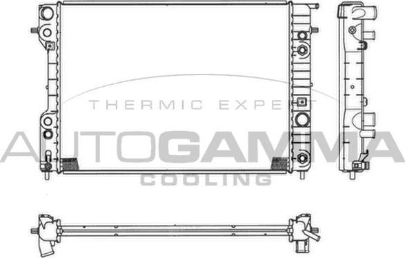 Autogamma 102254 - Радиатор, охлаждение двигателя autospares.lv