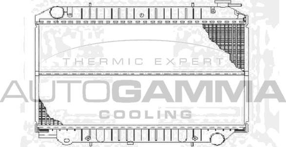 Autogamma 102204 - Радиатор, охлаждение двигателя autospares.lv