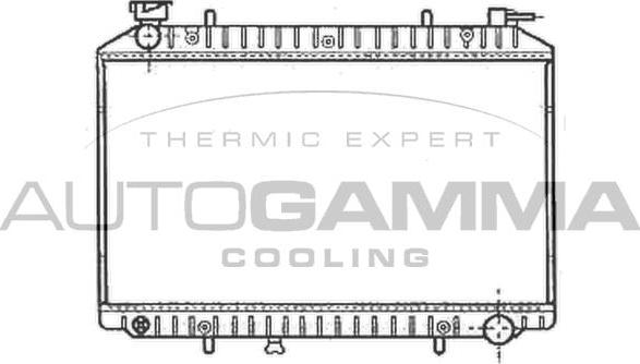 Autogamma 102205 - Радиатор, охлаждение двигателя autospares.lv