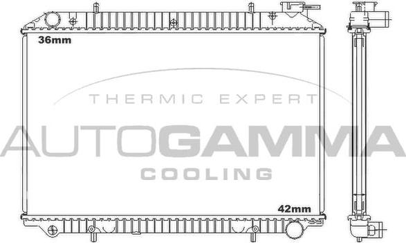 Autogamma 102206 - Радиатор, охлаждение двигателя autospares.lv