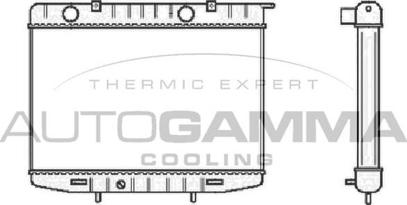Autogamma 102228 - Радиатор, охлаждение двигателя autospares.lv