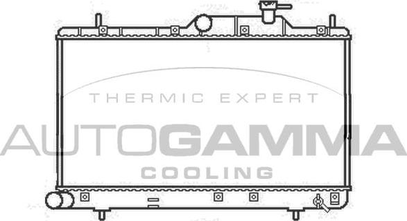 Autogamma 107249 - Радиатор, охлаждение двигателя autospares.lv