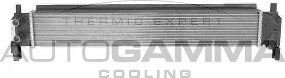 Autogamma 107718 - Радиатор, охлаждение двигателя autospares.lv