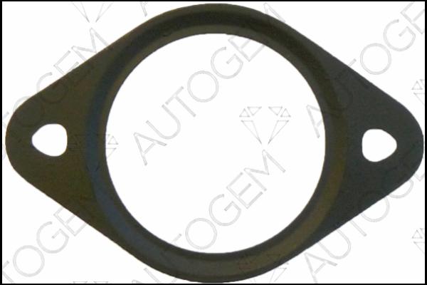 AUTOGEM CEG5431 - Прокладка, компрессор autospares.lv