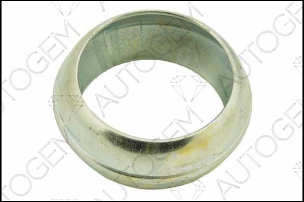 AUTOGEM EG26 - Уплотнительное кольцо, труба выхлопного газа autospares.lv