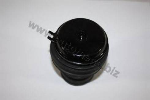 Automega 3019906091H0G - Подушка, опора, подвеска двигателя autospares.lv