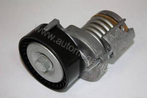 Automega 301450299030F - Натяжитель, поликлиновый ремень autospares.lv