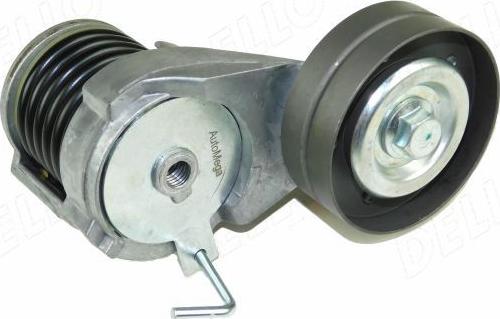 Automega 210155810 - Натяжитель, поликлиновый ремень autospares.lv