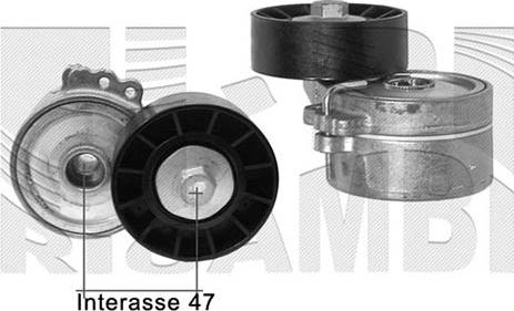 Autoteam A05032 - Натяжитель, поликлиновый ремень autospares.lv