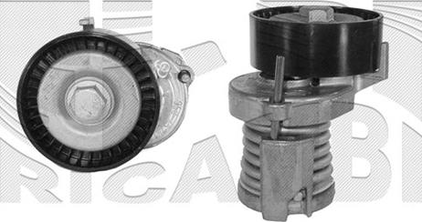 Autoteam A01452 - Натяжитель, поликлиновый ремень autospares.lv