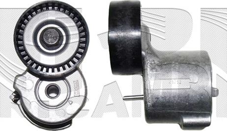 Autoteam A08820 - Натяжитель, поликлиновый ремень autospares.lv