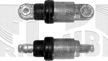 Autoteam A03340 - Виброгаситель, поликлиновый ремень autospares.lv