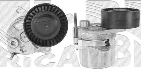 Autoteam A02180 - Натяжитель, поликлиновый ремень autospares.lv