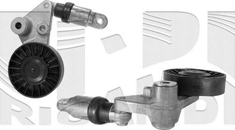 Autoteam A02264 - Натяжитель, поликлиновый ремень autospares.lv