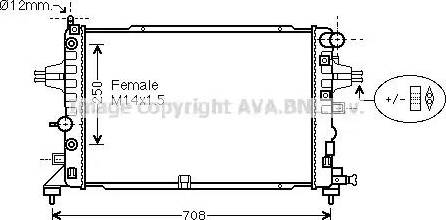 Ava Quality Cooling OL2625 - Радиатор, охлаждение двигателя autospares.lv